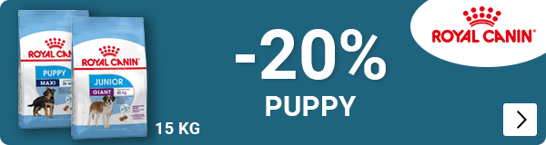 Royal Canin puppy junior -20% DOG